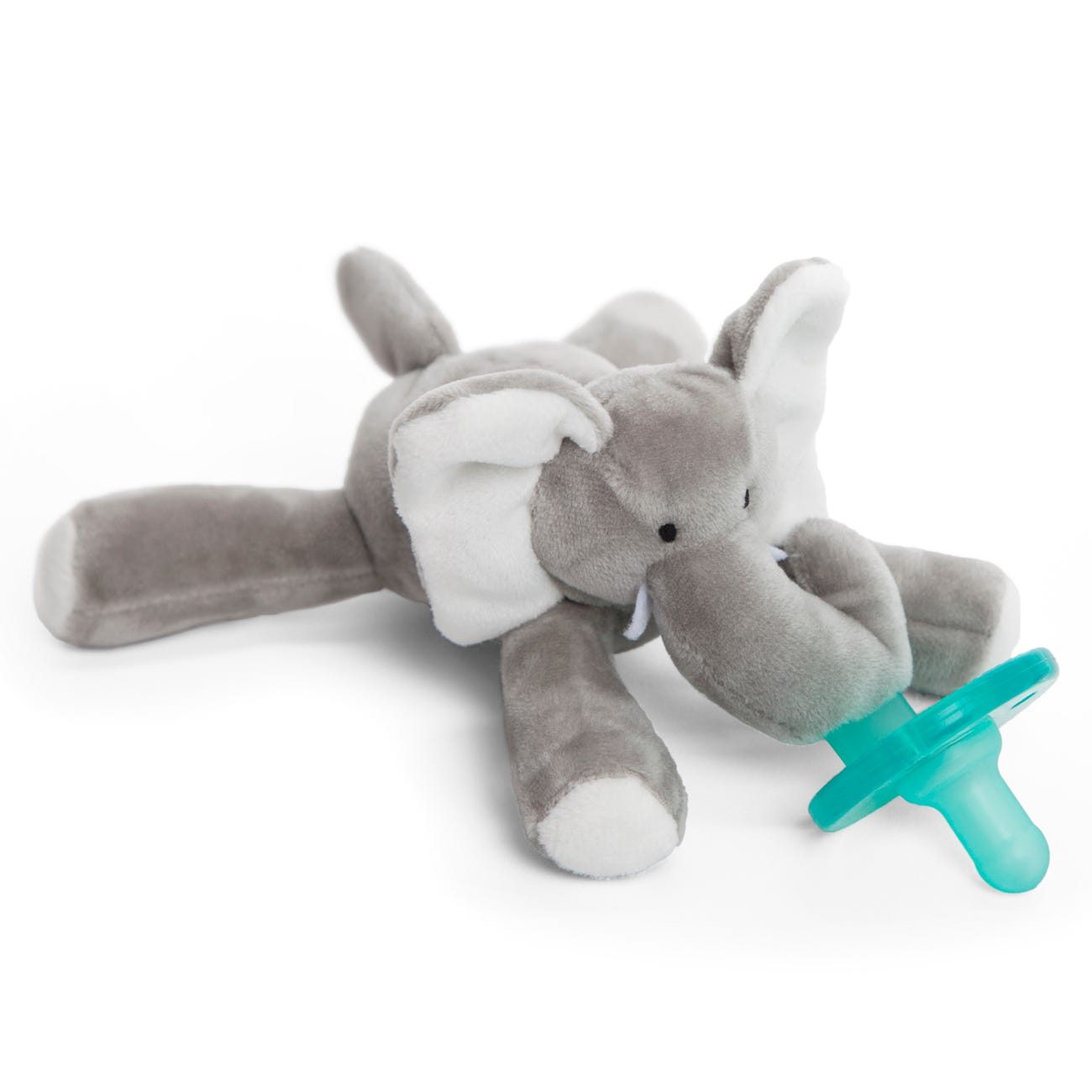 baby-elephant3