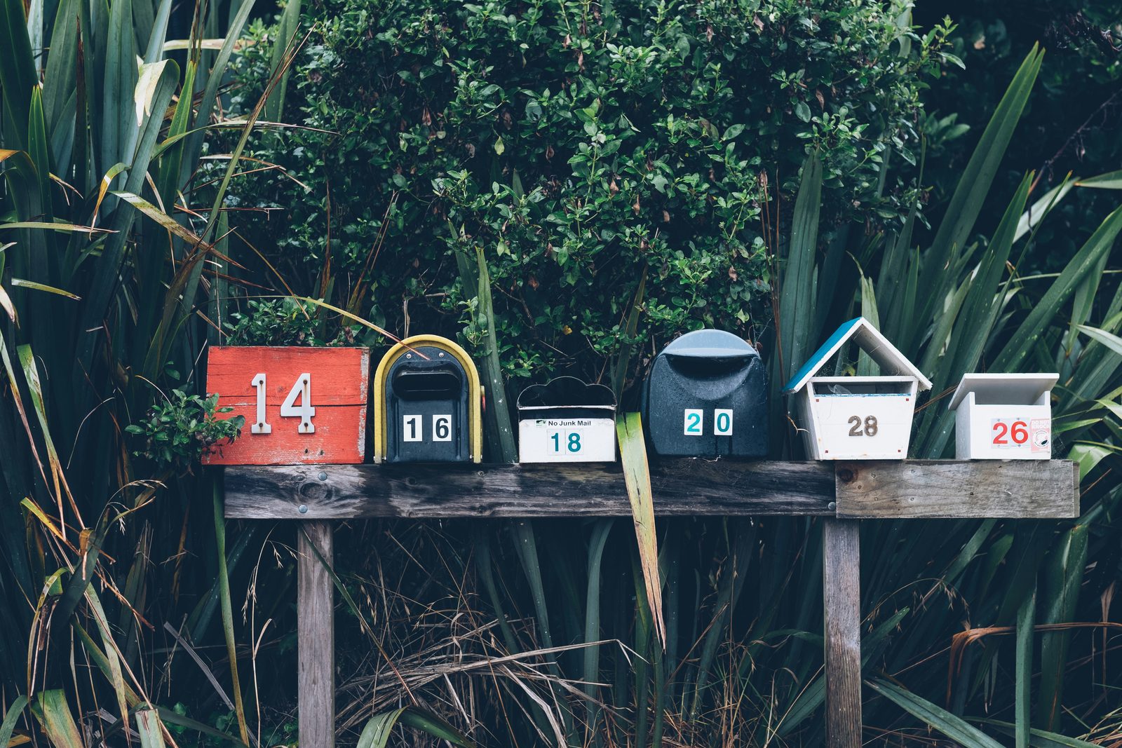 mathyas kurmann fb7ynpbt0l8 unsplash