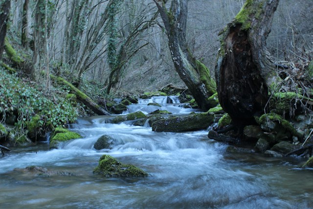 radomir brkovic 0k7b16nmt y unsplash